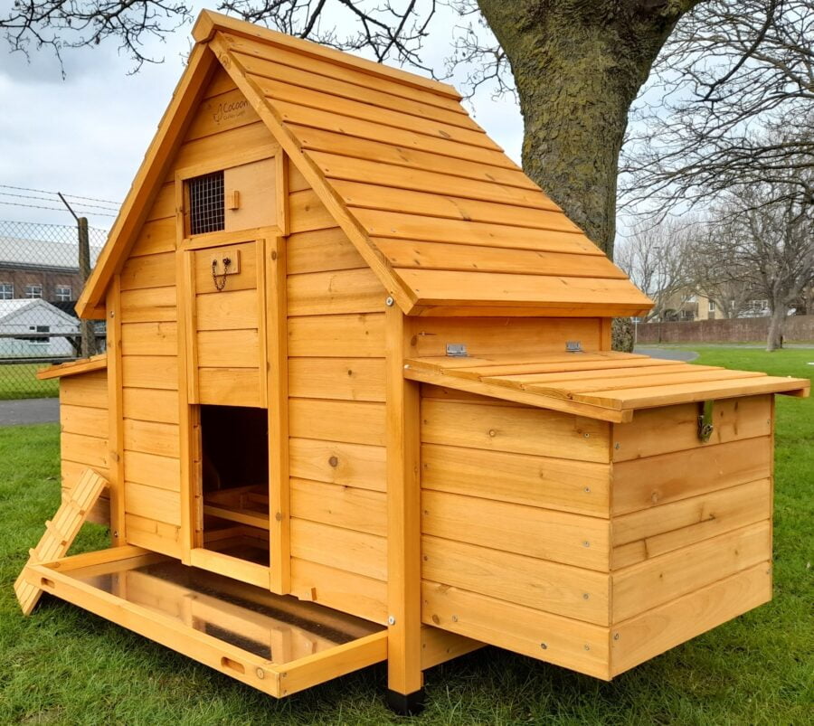 Cottage 4-6 Birds Chicken Coop - Image 4