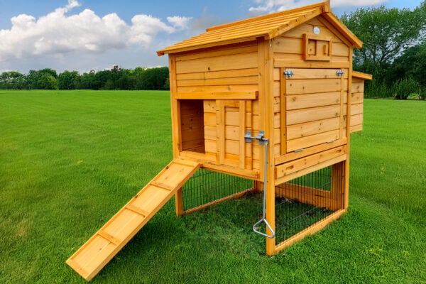 The Raised Cottage Chicken Coop