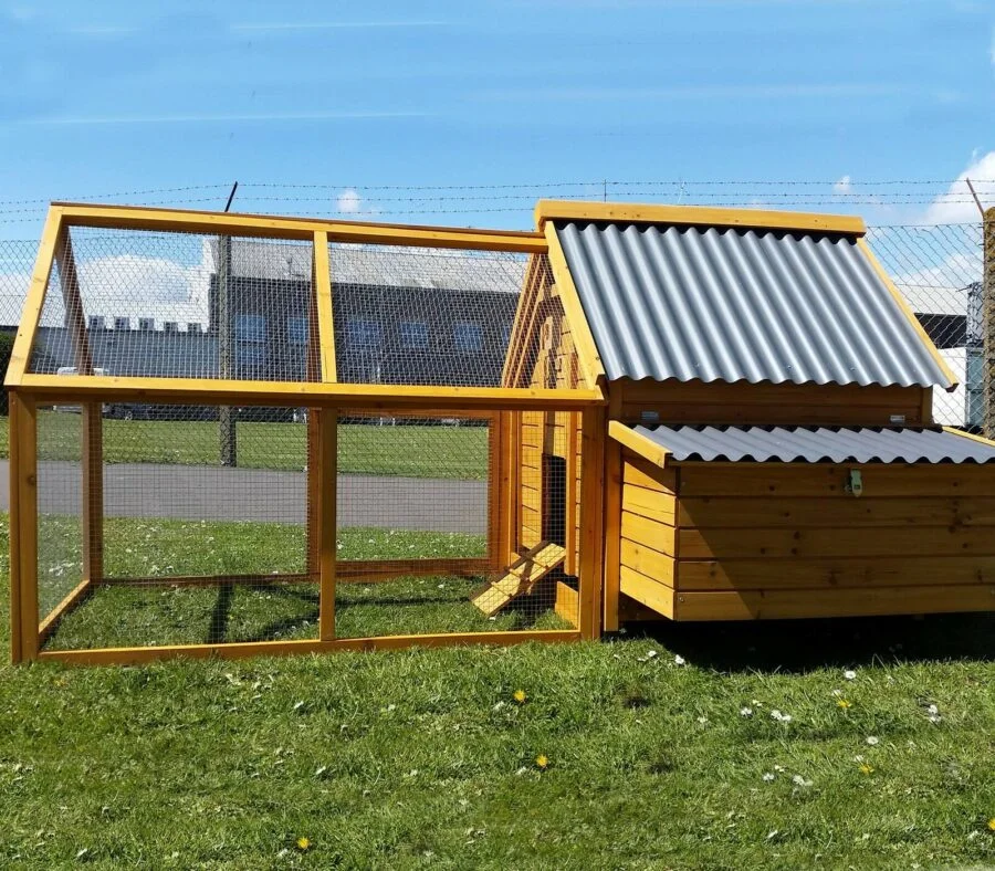 XL Sunshine 6-8 Birds Chicken Coop With Run - Image 3