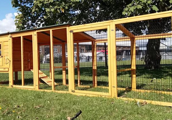 12.5ft Courtyard XL Chicken Coop & Run